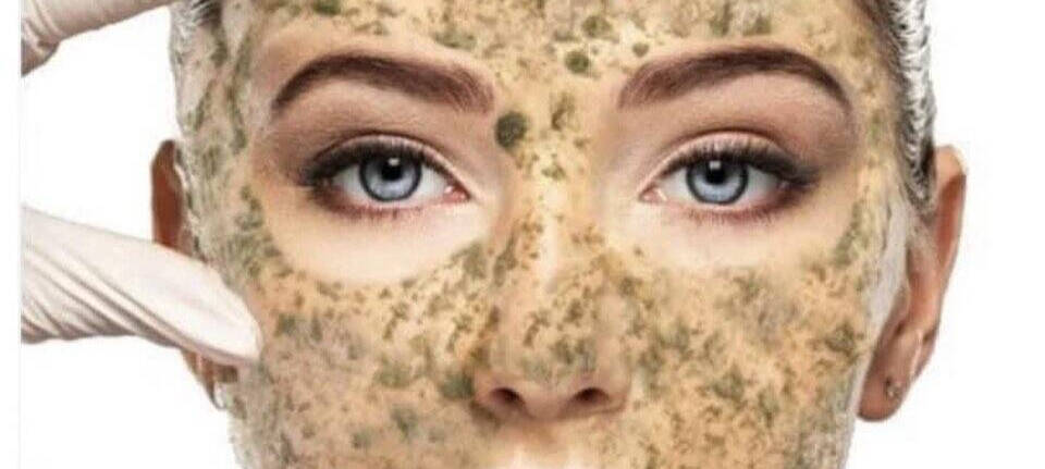Zena Algae Peel | Sakura Skin